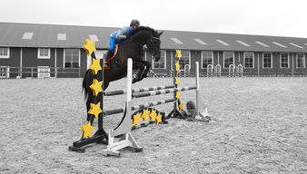 ac米兰中文官方网站-世界青少年马术锦标赛中国骑手令人期待，全国青少年马术锦标赛