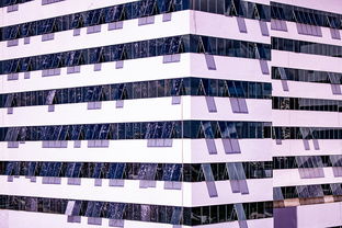 ac米兰中文官网-中国篮球联赛青训体系建设与发展趋势,篮球青训队是什么意思